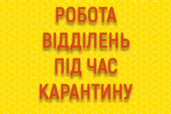 Фото - Робота відділень під час карантину